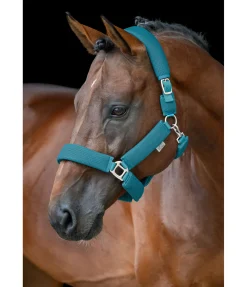 Licol en mesh Airflow