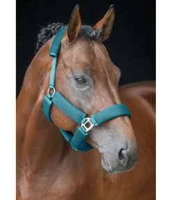 Licol en mesh Airflow