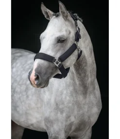 Licol en mesh Airflow