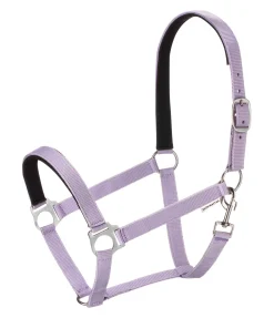 Licol en nylon à prix cassé II