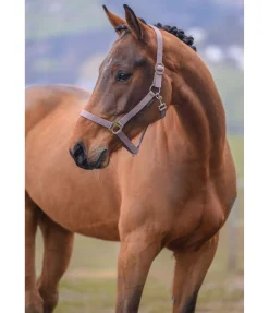 Licol en nylon à prix cassé