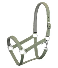 Licol en nylon à prix cassé II