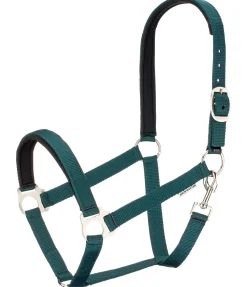 Licol en nylon à prix cassé II