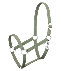 Licol en nylon à prix cassé