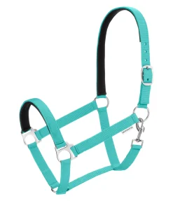 Licol en nylon à prix cassé II