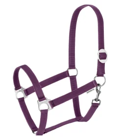 Licol en nylon à prix cassé