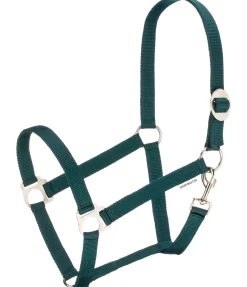 Licol en nylon à prix cassé