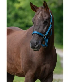 Licol en nylon à prix cassé II