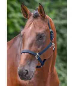 Licol en nylon à prix cassé