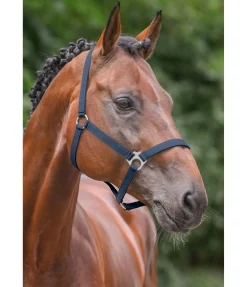 Licol en nylon à prix cassé