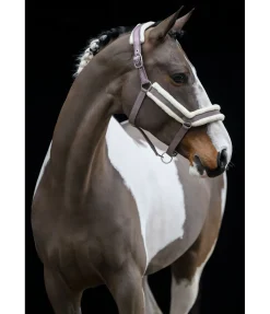 Licol en polaire Teddy Anatomical Relaxation