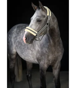 Licol en polaire Teddy Essential II