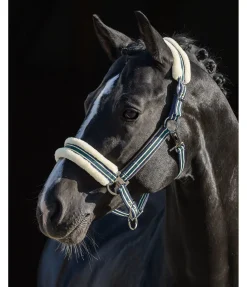 Licol en polaire Teddy Essential II