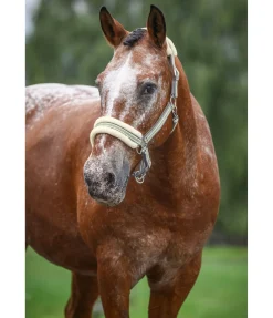 Licol en polaire Teddy Essential II