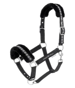 Licol en polaire Teddy Norway Spirit