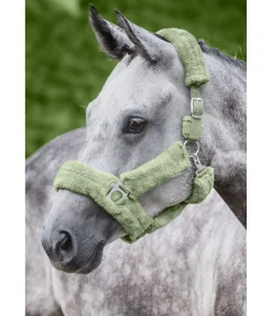 Licol en polaire Teddy Protection