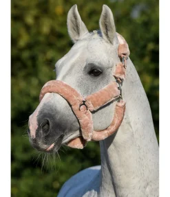 Licol en polaire Teddy Protection