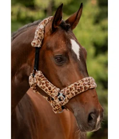 Licol en polaire Teddy Protection