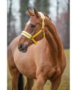 Licol en polaire Teddy à prix cassé III