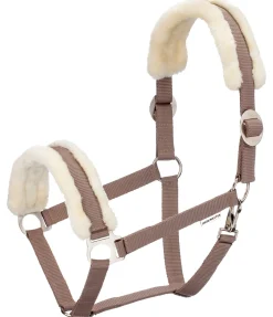 Licol en polaire Teddy à prix cassé III