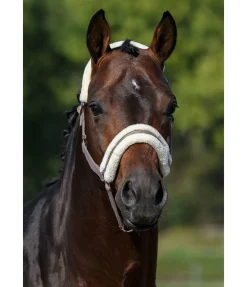 Licol en polaire Teddy à prix cassé III