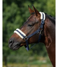 Licol en polaire Teddy à prix cassé III