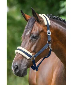 Licol en polaire Teddy à prix cassé III