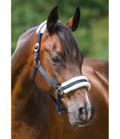 Licol en polaire Teddy à prix cassé III