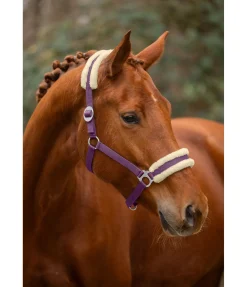 Licol en polaire Teddy à prix cassé III