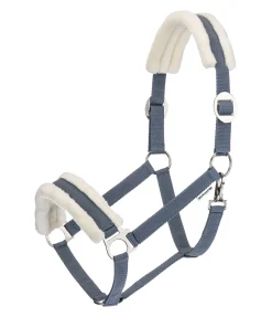 Licol en polaire Teddy à prix cassé III