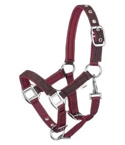 Licol poulain et shetland Twinkle