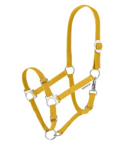 Licol poulain et shetland Grow With You