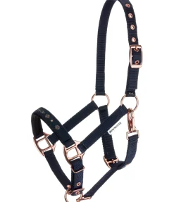 Licol poulain et shetland Future Star