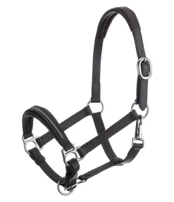 Licol poulain et shetland en cuir orné de strass Selina