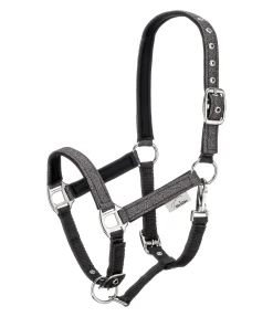 Licol poulain et shetland Twinkle