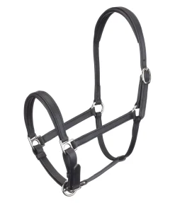 Licol poulain et shetland en cuir Siri