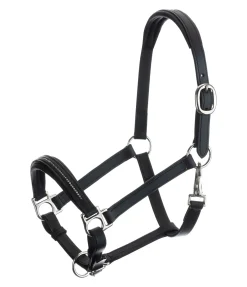 Licol poulain et shetland en cuir orné de strass Selina