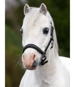 Licol poulain et shetland en cuir orné de strass Selina