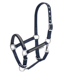 Licol poulain et shetland Blaire