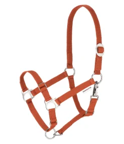 Licol poulain et shetland Grow With You