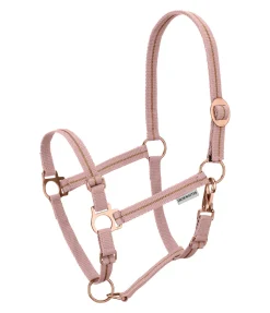 Licol poulain et shetland Shimmering