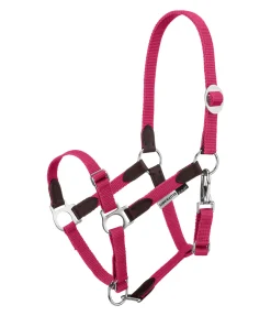 Licol poulain et shetland Katy