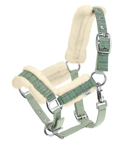 Licol pour poulain et shetland Shine