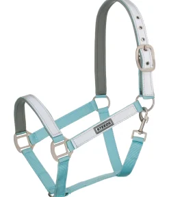 Licol réfléchissant Shiny