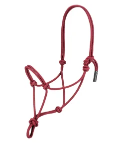 Licol éthologique Bo