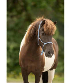 Licol éthologique Bo