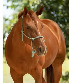 Licol éthologique Bo