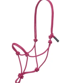 Licol éthologique Bo