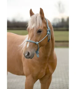 Licol éthologique Bo