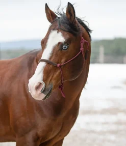 Licol éthologique Cuero